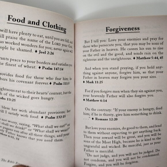 The Bible Promise Book: 1.000 Promises from God's Word NIV NEW - Picture 3 of 6